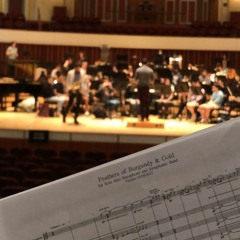 Feathers Of Burgundy & Gold for Solo Alto Saxophone & Symphonic Band