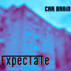 Car Brain