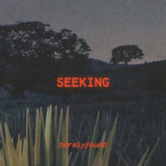 barelyfound - seeking