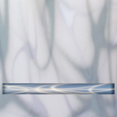 XENIA REAPER – You Really [INDEX:019]