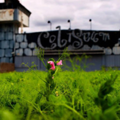 JUANJOSTYLE - COLISEUM RECORD