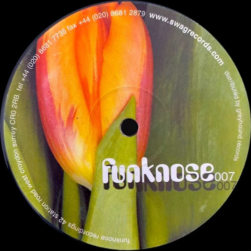 The Parkwalker - Shades Of Soul [2000]