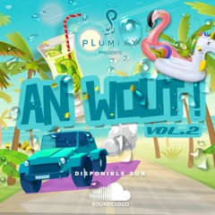 An Wout Vol 2 - Dj Plumixx