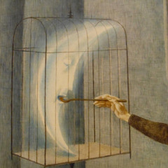 We Find Joy With What We Have