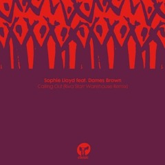 Sophie Lloyd Featuring Dames Brown - Calling Out (Riva Starr Warehouse Remix)