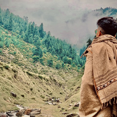 waalian X Moon light X Chan vekhy haarnoor mashup