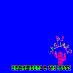 Underground And The House