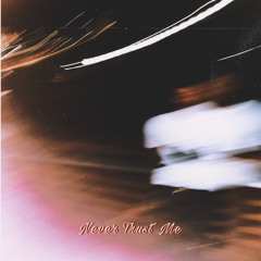 Never Trust Me (Prod.Sheepy Kid)