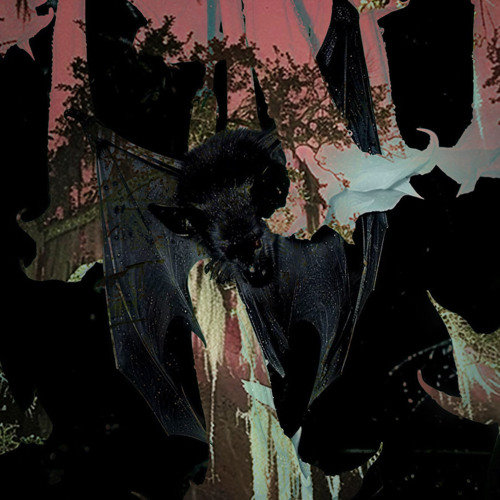 𝐂𝐀𝐒𝐓𝐄𝐋𝐕𝐀𝐍𝐈𝐀