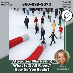 Attraction Marketing, What Is It All About, How Do You Begin?