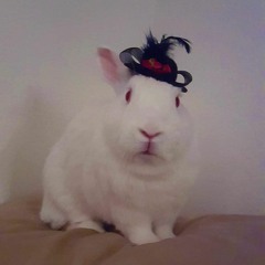 KENZ X KLUE - Rabbits in Hats