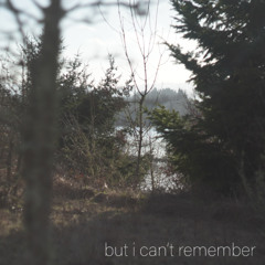 But I Can't Remember (2025 Version)