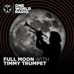 Full Moon with Timmy Trumpet #4