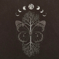 butterfly moon