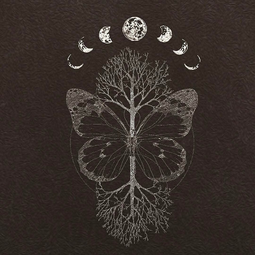 butterfly moon