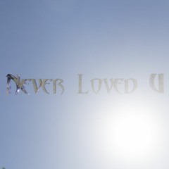 Never Loved U