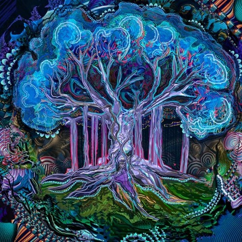 Midnight Fluctuations | (Pseudo Forest - Vol. 1)