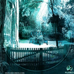 Fitzer - Asylum *OUT NOW*