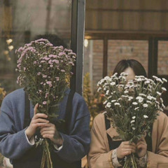 sau tat ca lofi