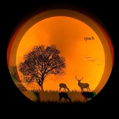 𝟏𝐩𝐚𝐜h-Forest