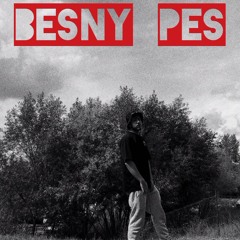 Besny Pes