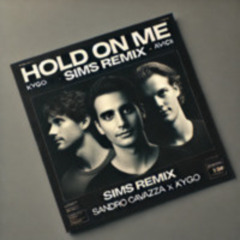 Kygo & Sandro Cavazza - Hold On Me (Avicii) (Sims Remix)