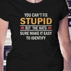 You Can’t Fix Stupid But The Hats Sure Make It Easy To Identify T-Shirt