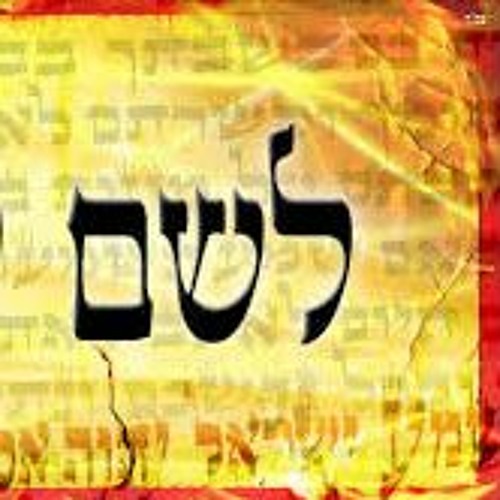 Stream Unification Kirtan: LeShem Yichud by Rabbi Ben Newman | Listen ...