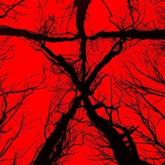 POP DUBZ!!!™ - THE BLAIR WITCH (C0D3BREAKER SPECIAL) [CLIP]