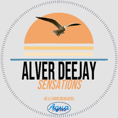 Alver Deejay - Sensations (Original Mix) [Agua Salada Records]