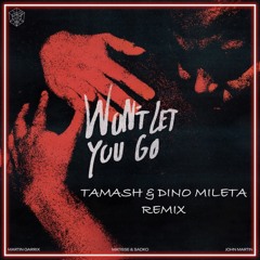 Martin Garrix - Won’t Let You Go (Tamash & Dino Mileta Remix)