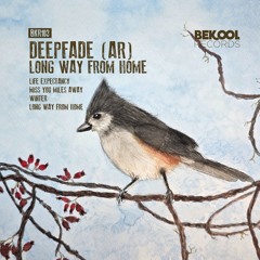 DeepFade (AR) - Winter (Original Mix)