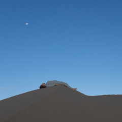 Bright Light Shining