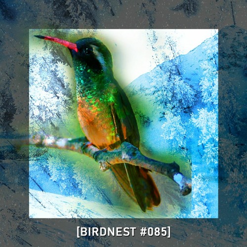 BIRDNEST #085 | Primitives Of The Future | Podcast by The Lahar
