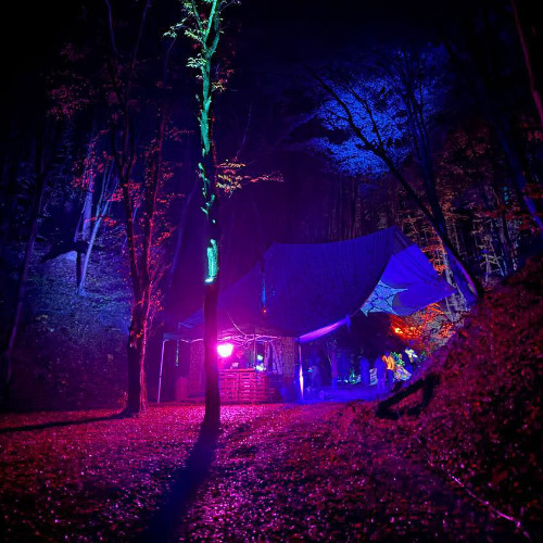 Live At Forest Gate Psy Camp (slow trance/chillgressive)