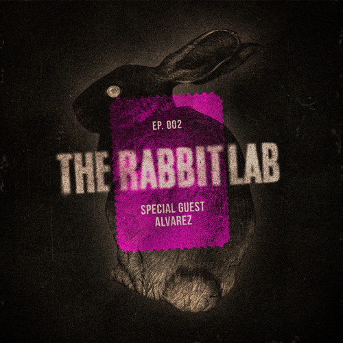 The Rabbit Lab EP. 002 | Special B2B Guest: Álvarez