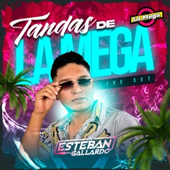 ESPECIAL TANDAS DE LA MEGA - DJ ESTEBAN GALLARDO 2024