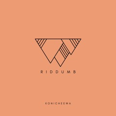 Riddumb