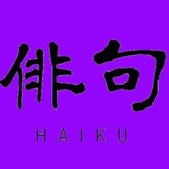 Haiku 4  - (Passeggiata in versi) . . . . . 00:52
