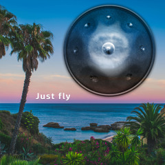 Just fly