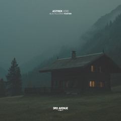 Astrek - Void [3rd Avenue]