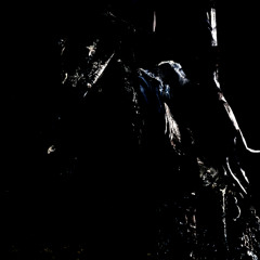 dont die, nobody wont die @rottenspirit