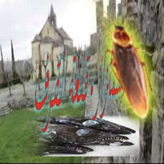 Twxss - Krushbrazil Ft Wxrmane ♱