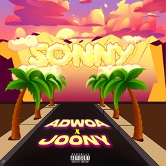 adwoa x joony - sonny