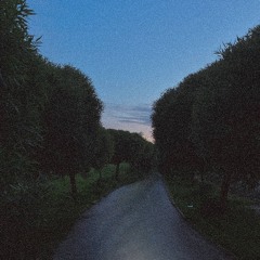 follow to the white rabbit