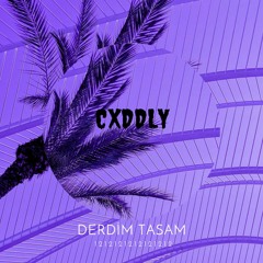 CXDDLY X 12Freestyle
