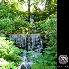 Y&I Tokimeki Forever