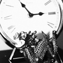 SHADY NIGGAAS FT. MUDDI x RA$$