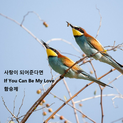 사랑이 되어준다면(If You Can Be My Love)