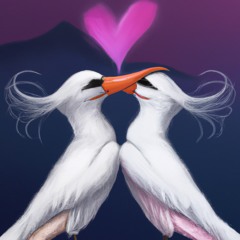 Romantic Wings